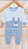 BODY CL DT DOKMA 2744