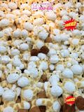 GẤU BÔNG HƯƠU CAO CỔ