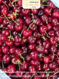 CHERRY MỸ SZ 9 WESTEN