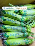 BÍ NGÒI HÀN QUỐC (GRAM)