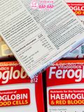 TPBVSK SẮT FEROGLOBIN B12 NK 13Y+ (30 viên)
