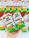 SỮA TƯƠI HỮU CƠ ARLA SOCOLA - 1 HỘP 200ml