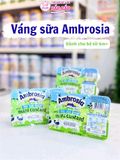VÁNG AMBROSIA MINI CUSTARD LESS SUGAR GIẢM ĐƯỜNG 6*55G