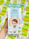 GẠO JAPONICA HỮU CƠ HASA BIO