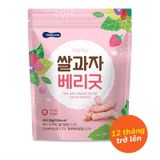 BÁNH HÌNH QUE HC BEBECOOK 25G 12M+