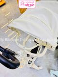 XE SCOOTER KIÊM XE ĐẨY MÁI CHE 619A