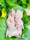 BỒ CÂU RA RÀNG 1/2 CON