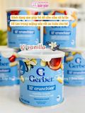 BÁNH ĂN DẶM GERBER LÙN 8M+