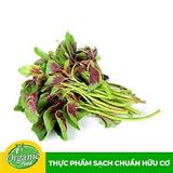 RAU DỀN HỮU CƠ/GRAM