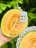 DƯA LƯỚI E-GARDEN VIP (GRAM)