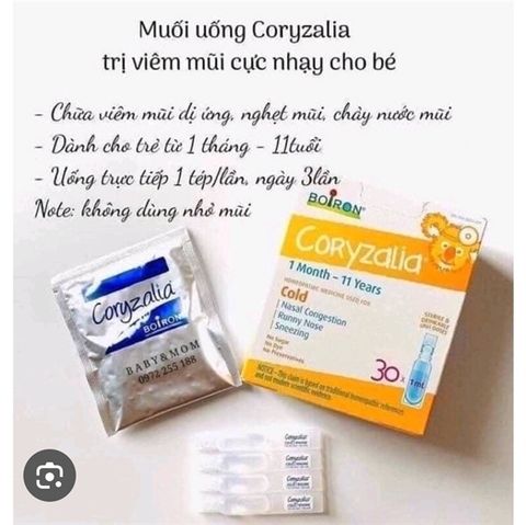 MUỐI UỐNG CORYZALIA CANADA TÁCH LẼ
