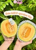 DƯA LƯỚI E-GARDEN VIP (GRAM)