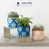  Chậu Cây Mini Gốm Sứ Xuất Khẩu Vẽ Hoa Màu Pastel - Trồng Sen Đá, Xương Rồng, Decor Bàn Làm Việc 