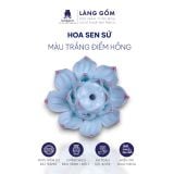  Hoa Sen thả bát Minh Đường tụ thủy 