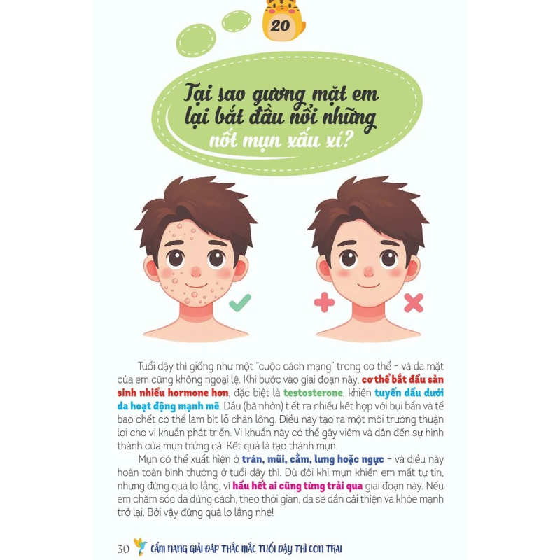 Dậy Thì Không Gì Phải Sợ - Cẩm Nang Con Trai