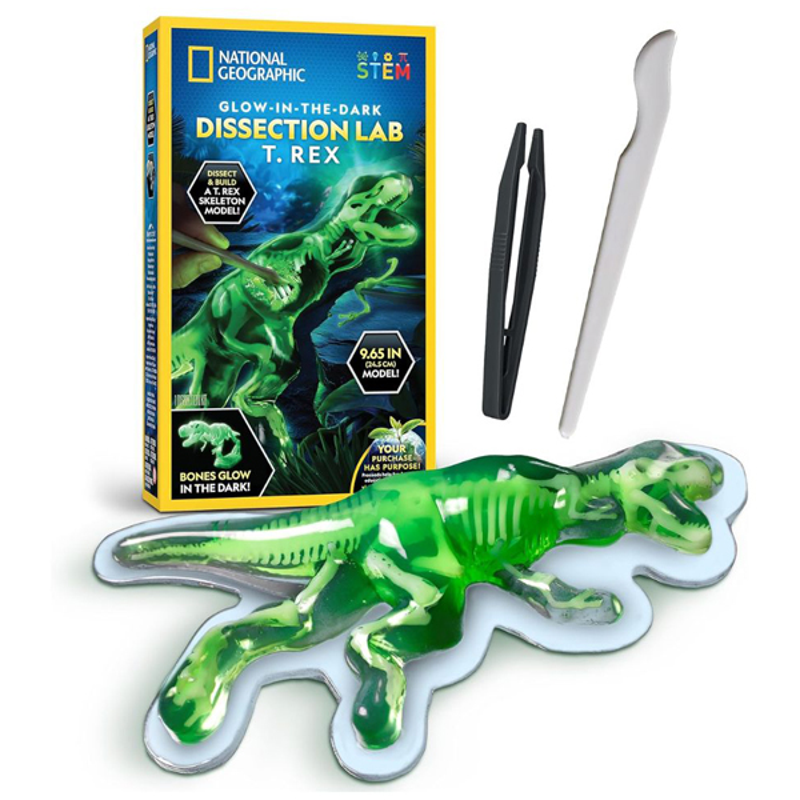 Steam Nat Geo Bộ Giải Phẫu T-Rex Phát Sáng Trong Đêm Rtngtrexlab
