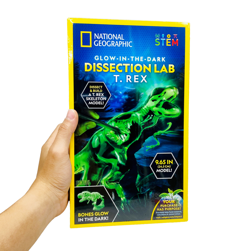 Steam Nat Geo Bộ Giải Phẫu T-Rex Phát Sáng Trong Đêm Rtngtrexlab