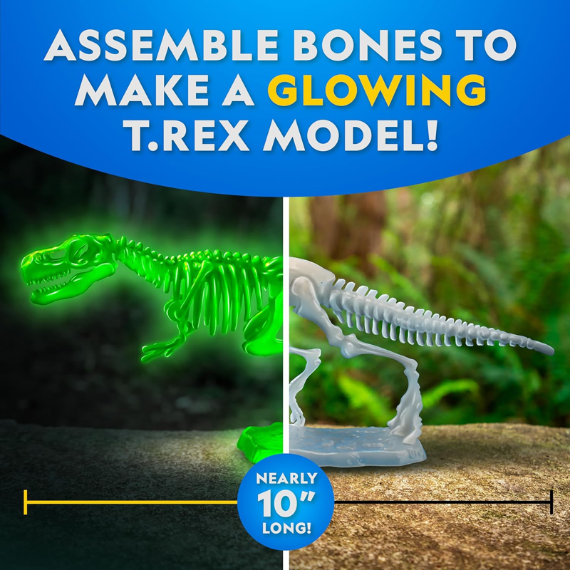 Steam Nat Geo Bộ Giải Phẫu T-Rex Phát Sáng Trong Đêm Rtngtrexlab