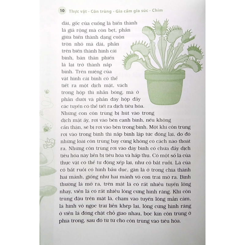 10 Vạn Câu Hỏi Vì Sao? Thực Vật - Côn Trùng Gia Cầm Gia Súc Chim