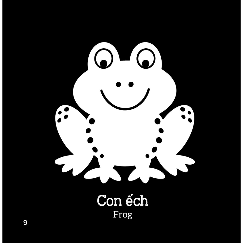 Sách Kích Thích Thị Giác - Em Bé Thấy Gì? - Những Thứ Thân Quen