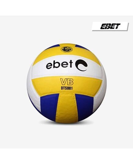 Bóng Chuyền Da PVC DTS001