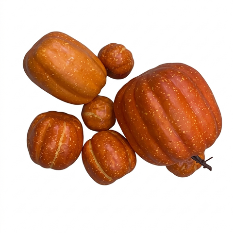 Bộ 7 Quả Bí Nhỏ 7