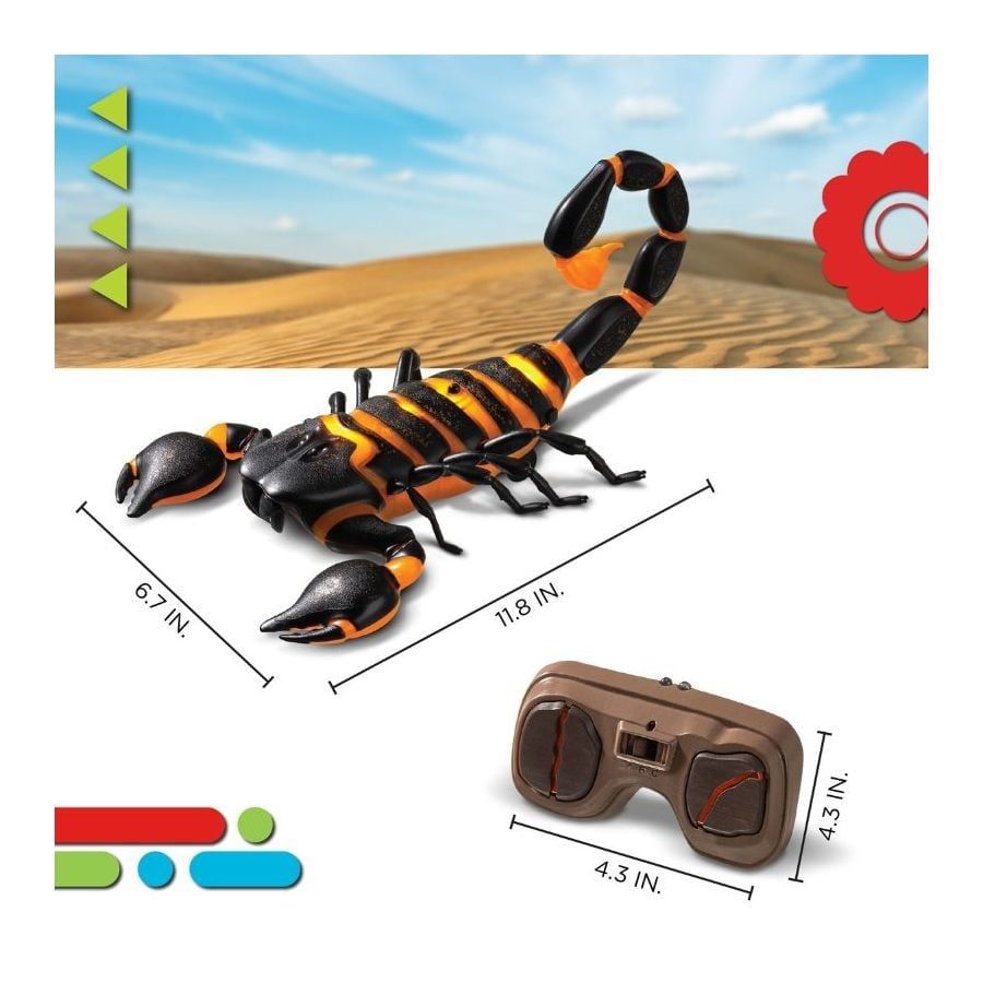 STEAM Bò Cạp Dung Nham 1312007001