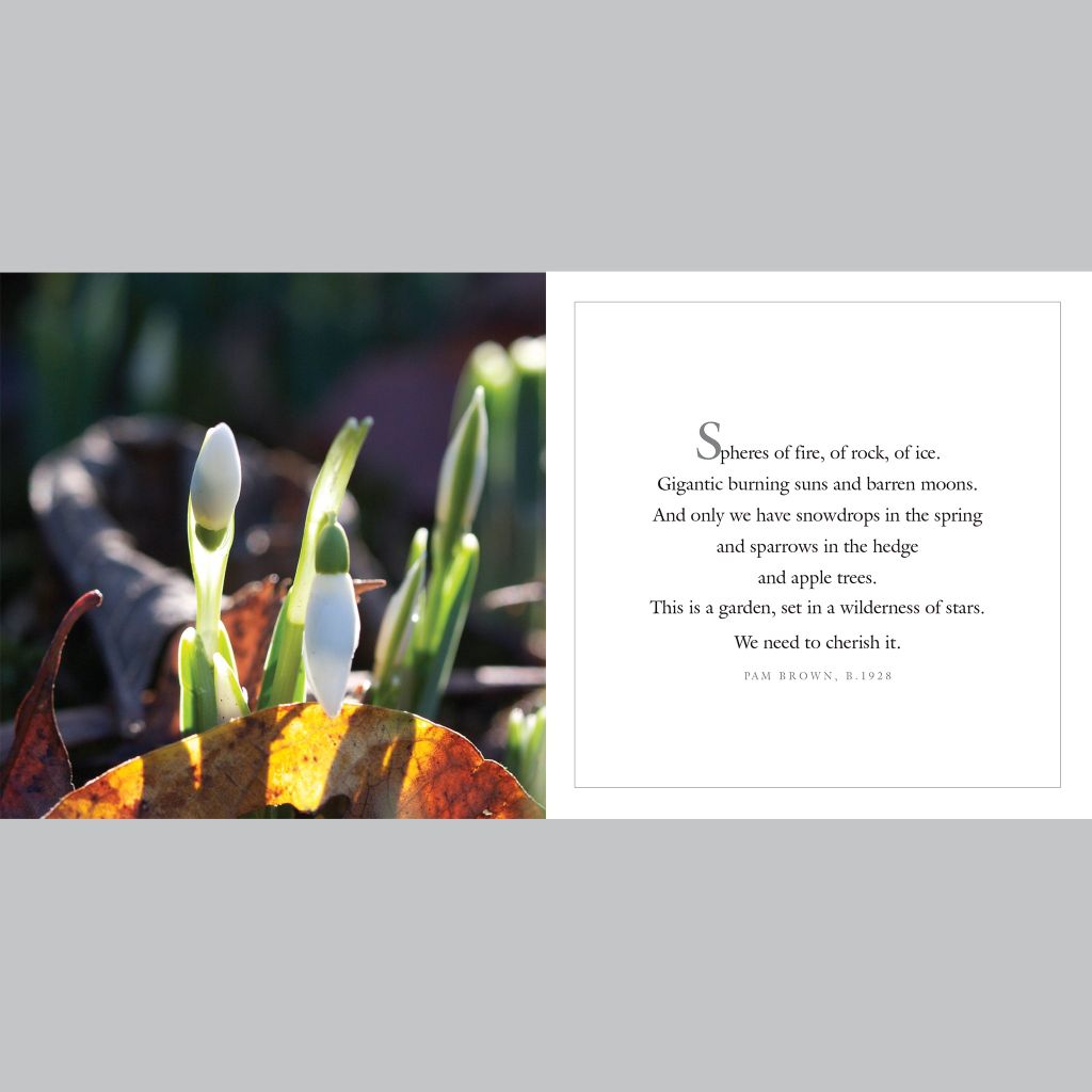 My Garden My Little Piece of Heaven (Gift Book)