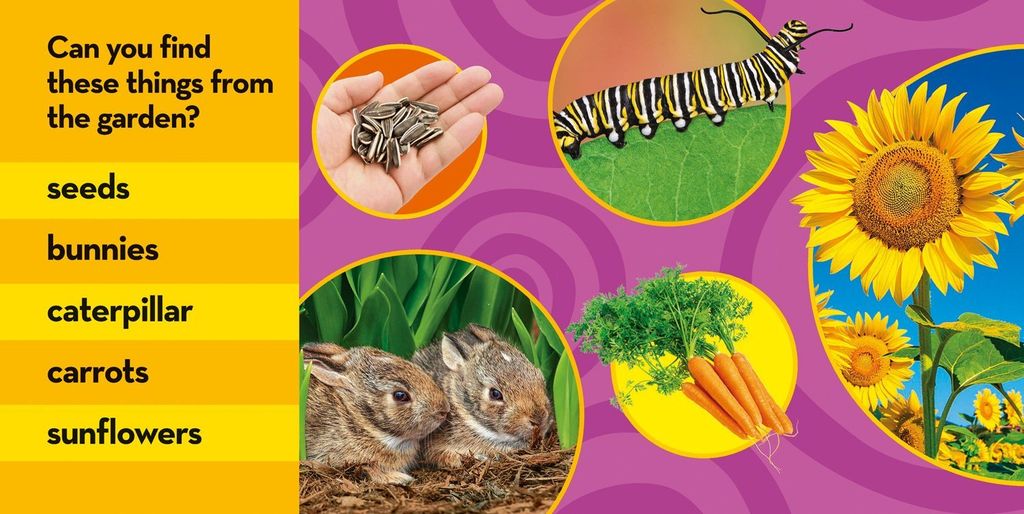 National Geographic Kids Look and Learn: In My Garden