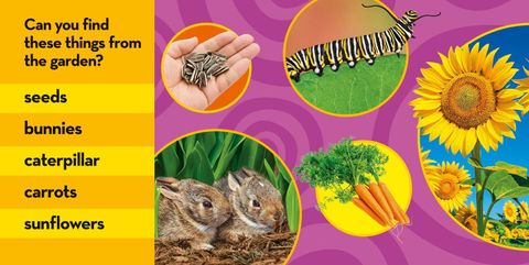 National Geographic Kids Look and Learn: In My Garden