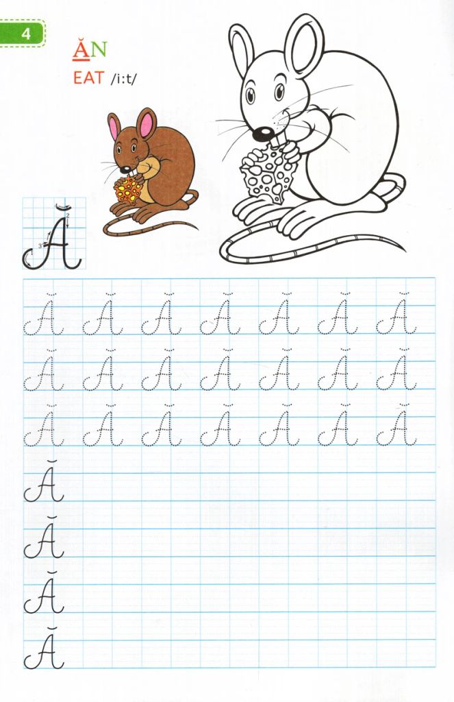 TẬP VIẾT CHỮ ĐẸP & TÔ MÀU - CHỮ HOA (NHỎ)