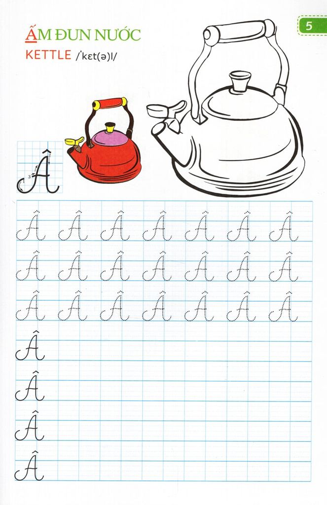 TẬP VIẾT CHỮ ĐẸP & TÔ MÀU - CHỮ HOA (NHỎ)