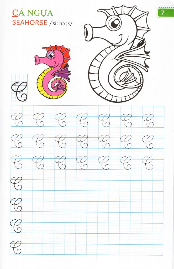 TẬP VIẾT CHỮ ĐẸP & TÔ MÀU - CHỮ HOA (NHỎ)