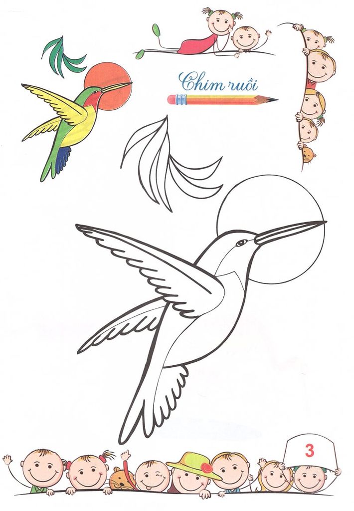 TÔ MÀU MẪU GIÁO-CÁC LOẠI CHIM