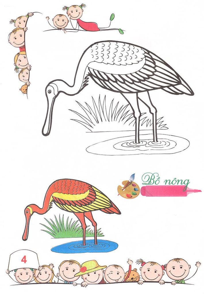 TÔ MÀU MẪU GIÁO-CÁC LOẠI CHIM