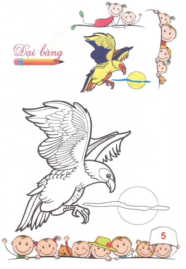 TÔ MÀU MẪU GIÁO-CÁC LOẠI CHIM