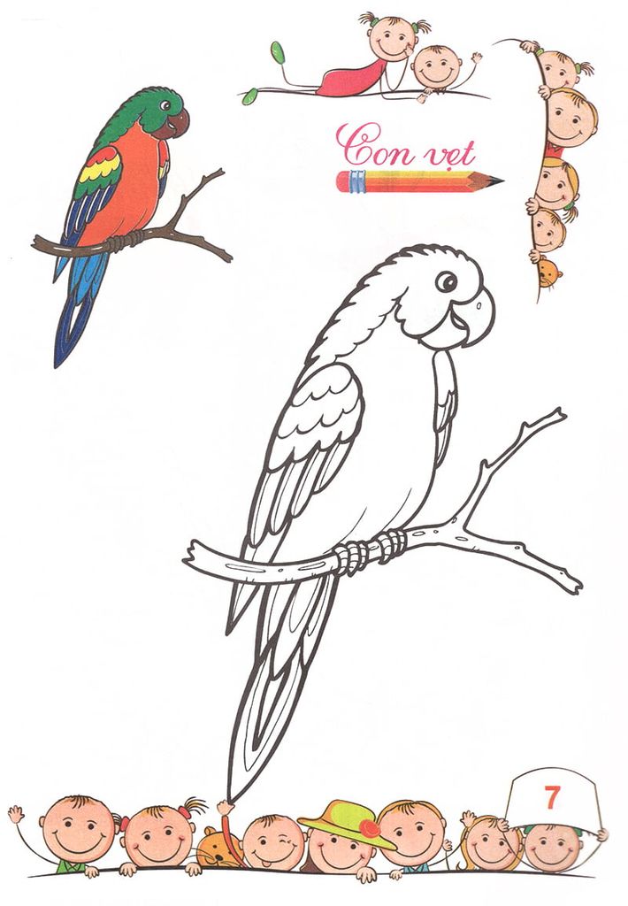 TÔ MÀU MẪU GIÁO-CÁC LOẠI CHIM