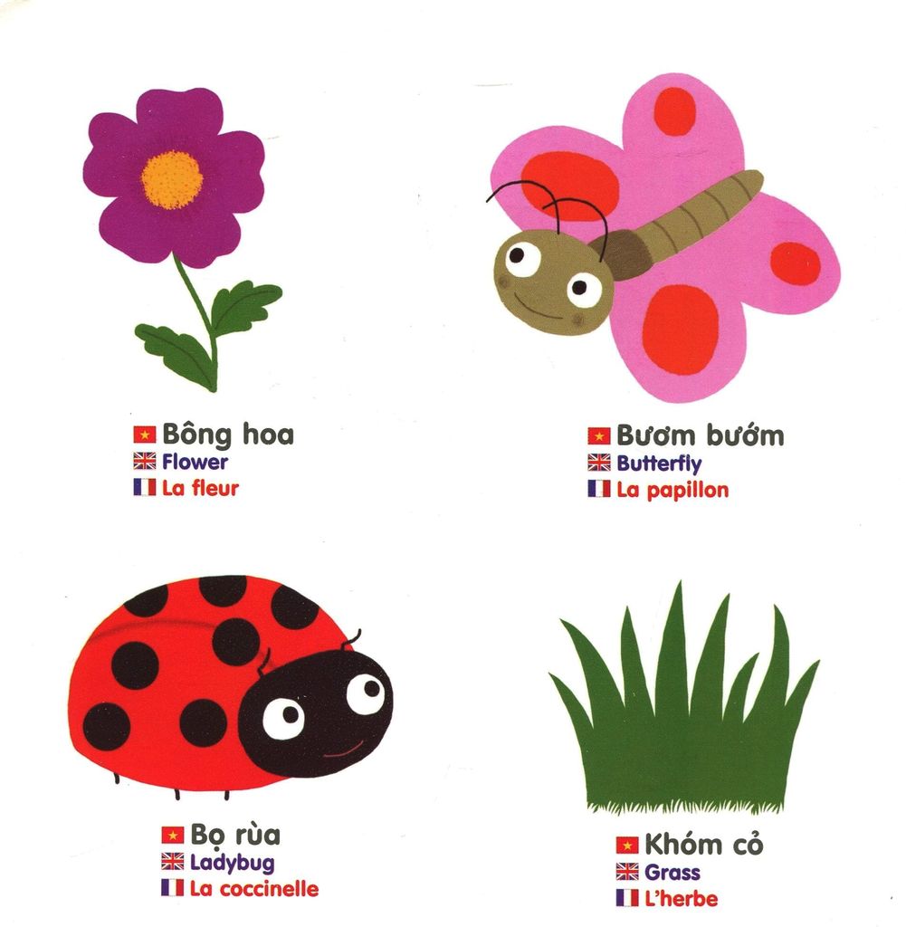 KHU VƯỜN BÍ MẬT-KIKIDOC