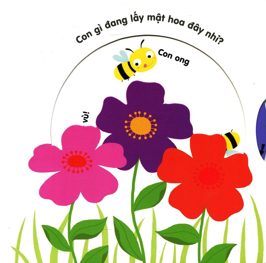 KHU VƯỜN BÍ MẬT-KIKIDOC