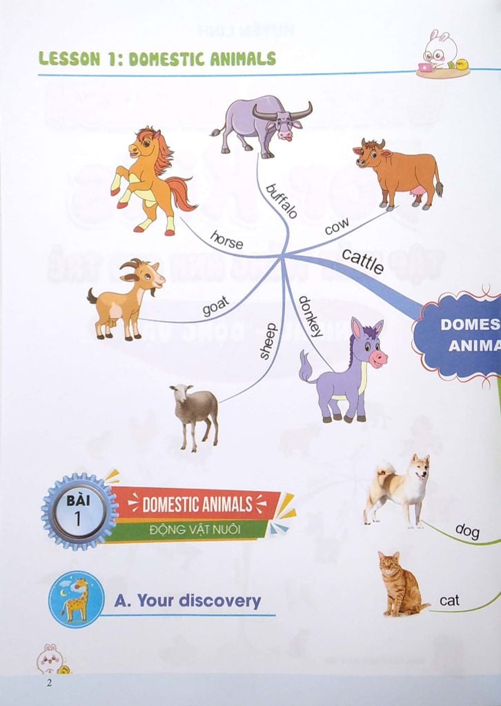 Writing English For Kids - Tập Viết Tiếng Anh Cho Trẻ - Động Vật