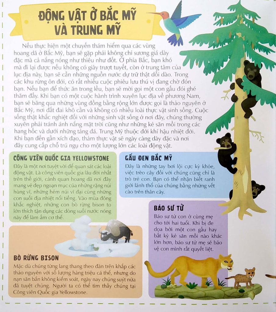 Atlas Động Vật