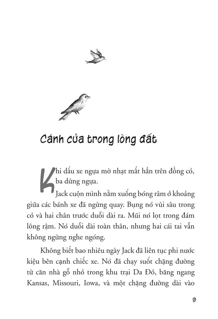 NGÔI NHÀ NHỎ TRÊN THẢO NGUYÊN T4-BÊN DÒNG RẠCH MẬN