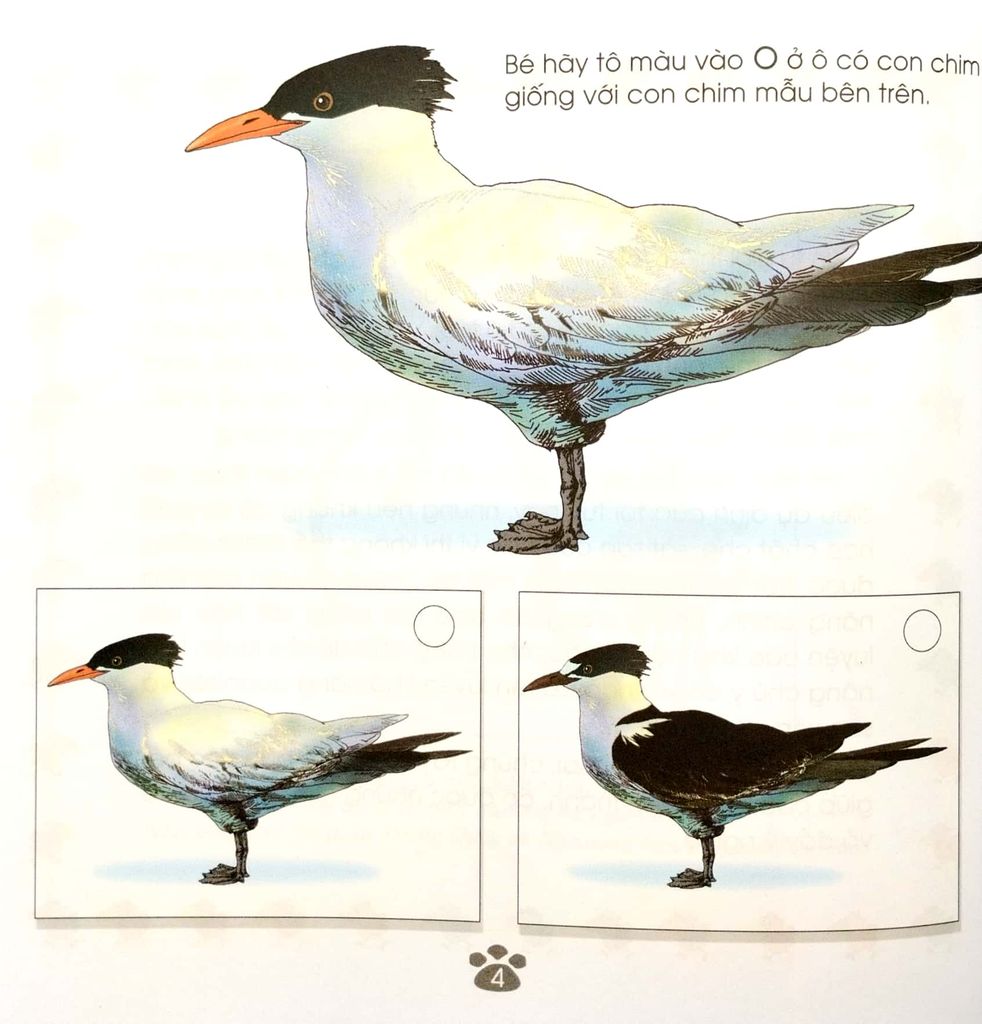 TRÒ CHƠI RÈN LUYỆN-KHẢ NĂNG CHÚ Ý