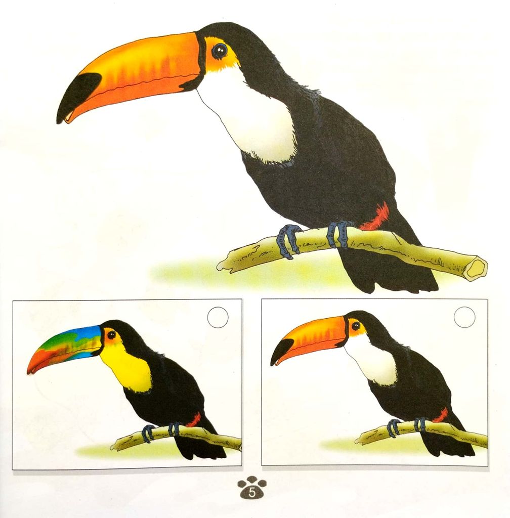 TRÒ CHƠI RÈN LUYỆN-KHẢ NĂNG CHÚ Ý