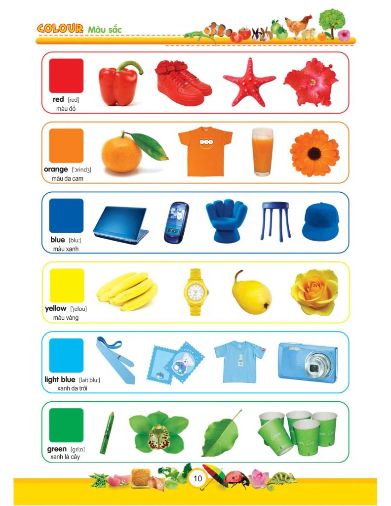 My First 1000 Words - 1000 Từ Tiếng Anh Đầu Tiên