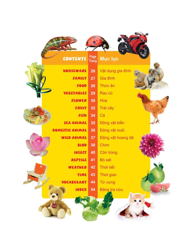 My First 1000 Words - 1000 Từ Tiếng Anh Đầu Tiên