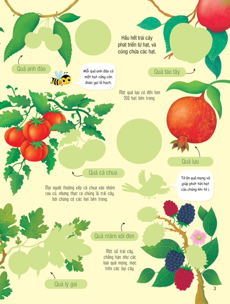 SÁCH DÁN HÌNH ĐẦU ĐỜI CHO BÉ-TRÁI CÂY VÀ RAU CỦ