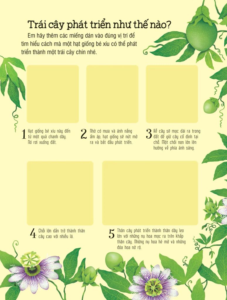 SÁCH DÁN HÌNH ĐẦU ĐỜI CHO BÉ-TRÁI CÂY VÀ RAU CỦ