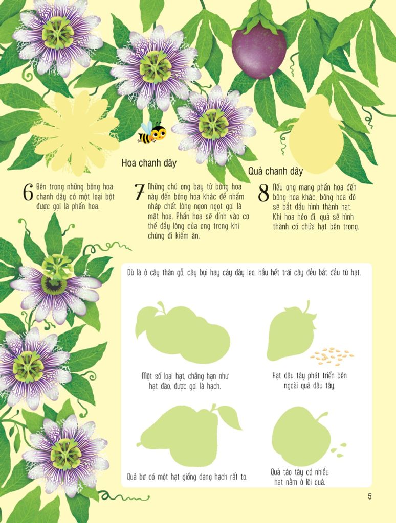 SÁCH DÁN HÌNH ĐẦU ĐỜI CHO BÉ-TRÁI CÂY VÀ RAU CỦ