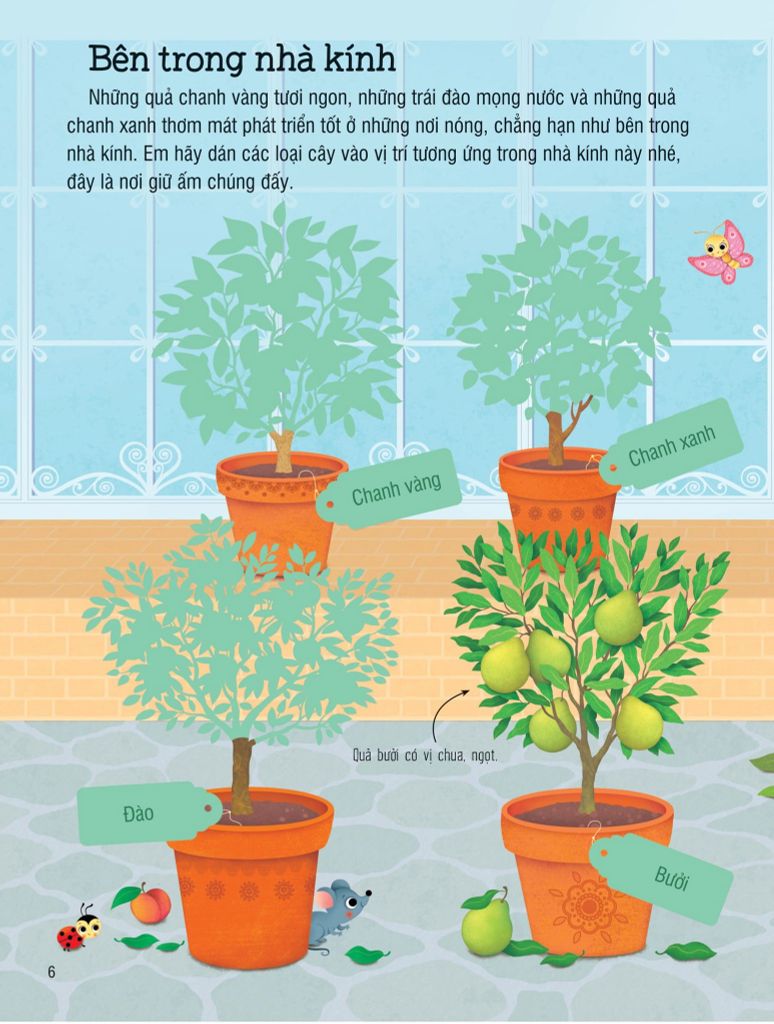 SÁCH DÁN HÌNH ĐẦU ĐỜI CHO BÉ-TRÁI CÂY VÀ RAU CỦ